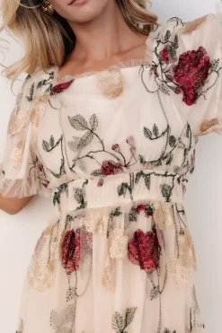 Baltic Born Allison Embroidered Tulle Maxi Dress | Cream Multi