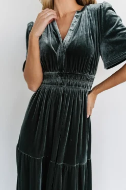 Baltic Born Artemis Velvet Maxi Dress |