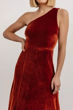 Baltic Born Tatiana Velvet One Shoulder Maxi Dress |